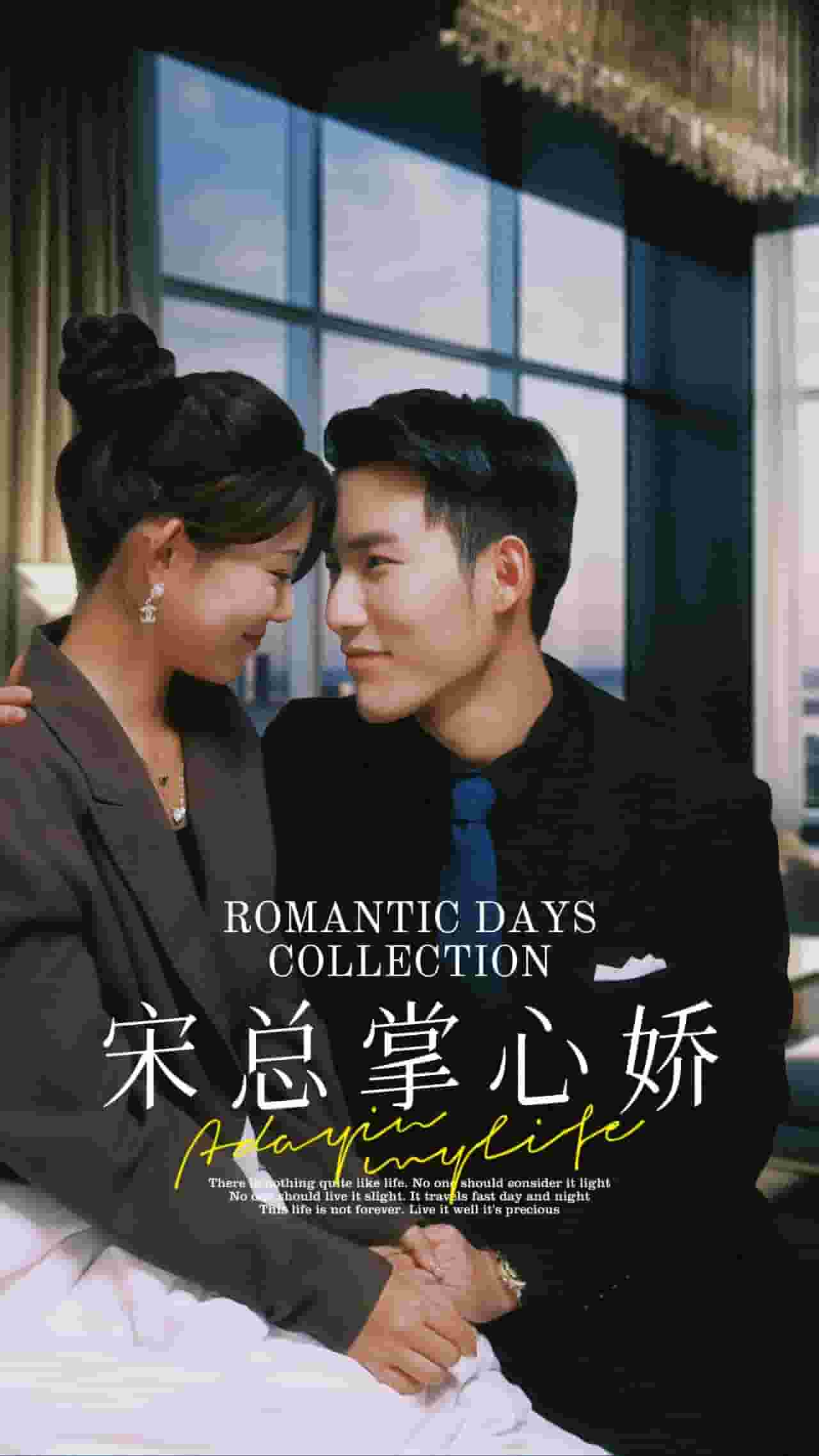 宋總掌心嬌第13集