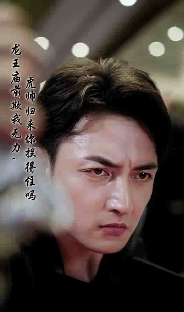 龍王廟前欺我無力，虎帥歸來你攔得住嗎(全集)