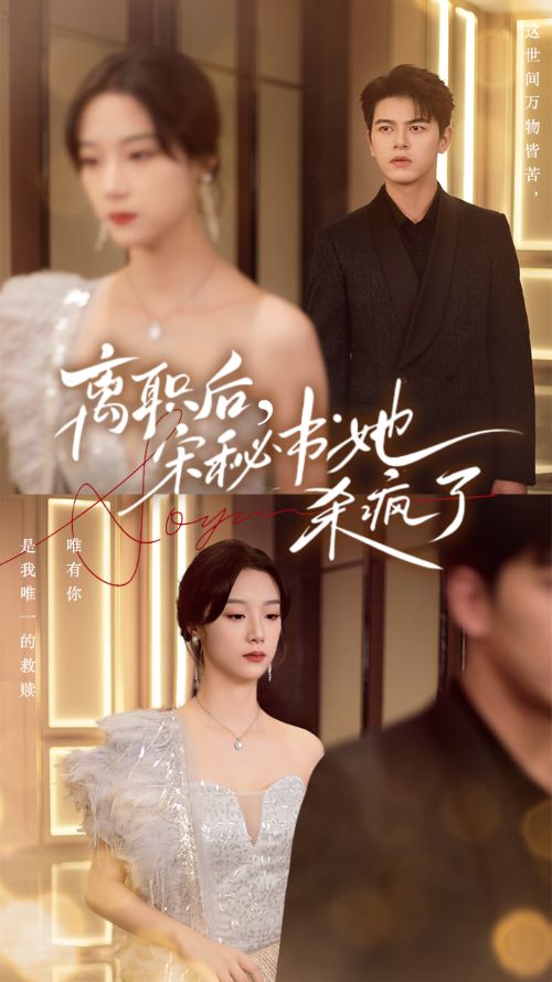 離職后，宋秘書她殺瘋了(全集)