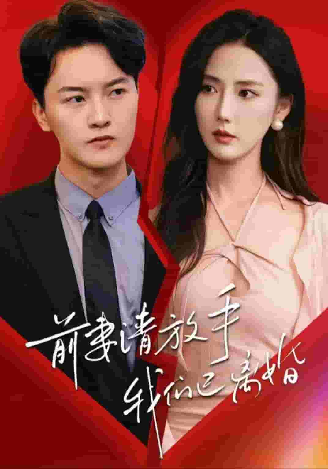 前妻請(qǐng)放手，我們已離婚(全集)