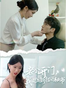 老公開門，我是你新招的秘書(全集)