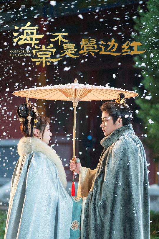 海棠不是鬢邊紅第30集(大結局)