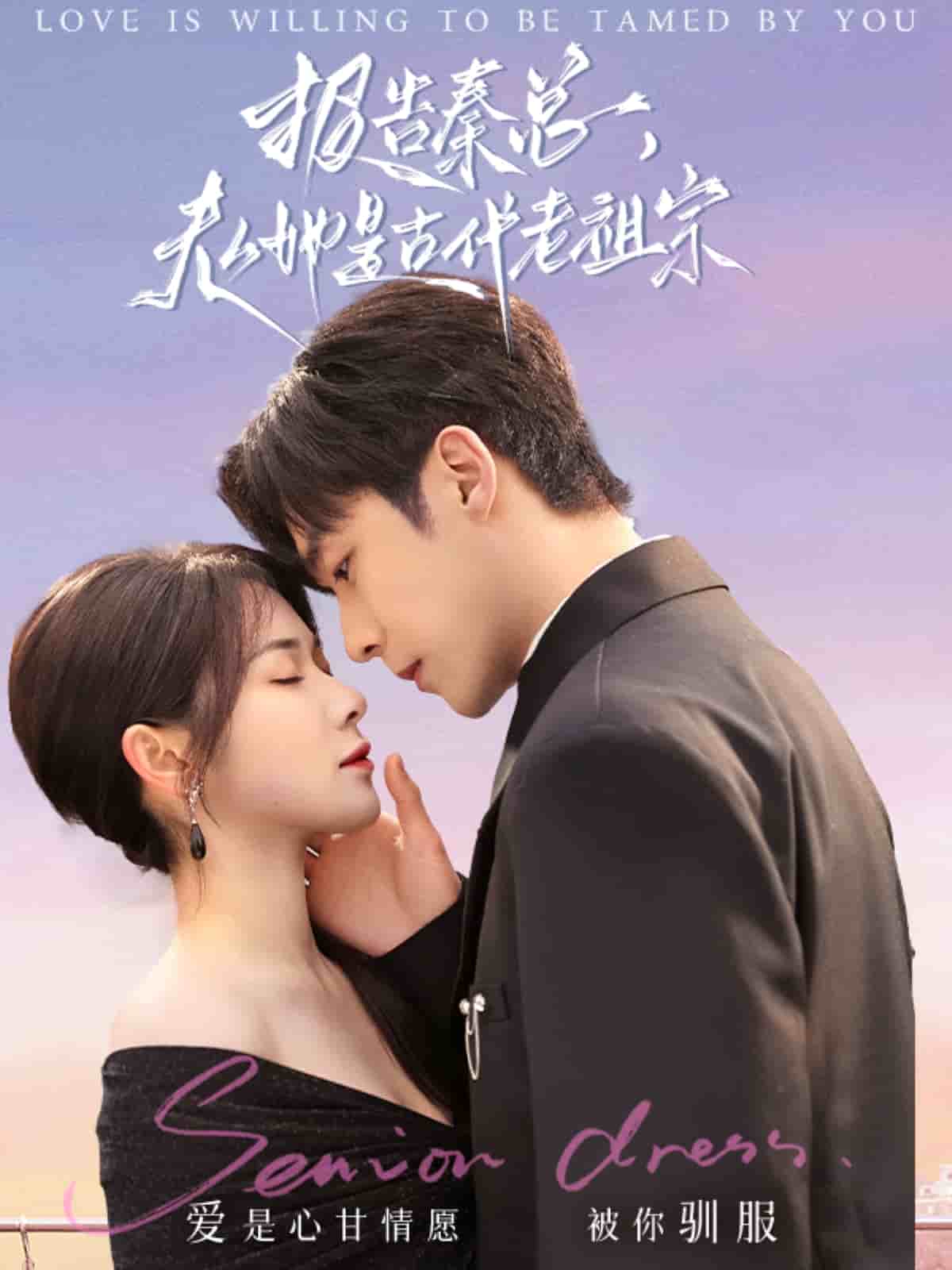 報(bào)告秦總，夫人她是古代老祖宗(全集)