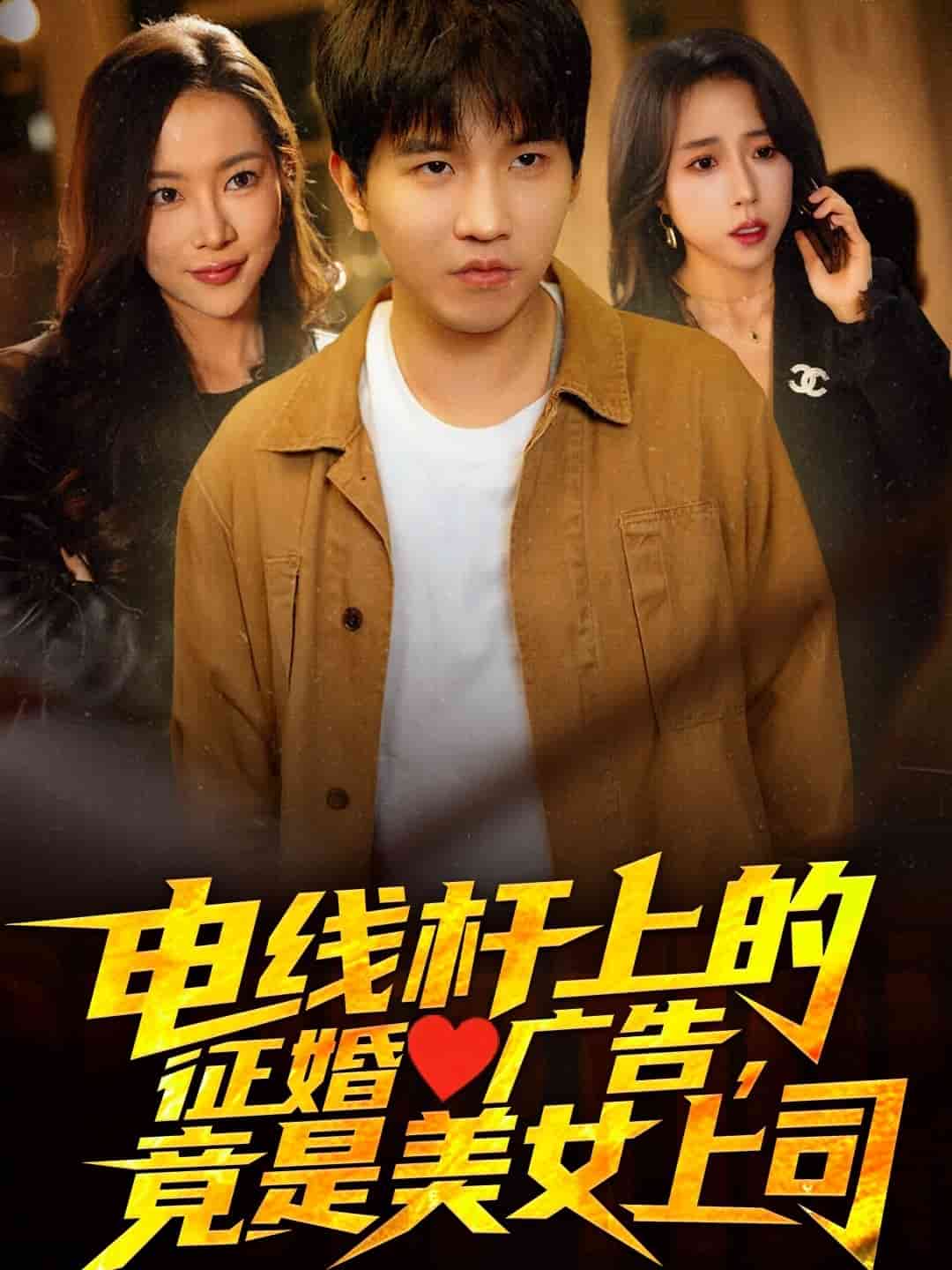 電線桿上的征婚廣告，竟是美女上司(全集)