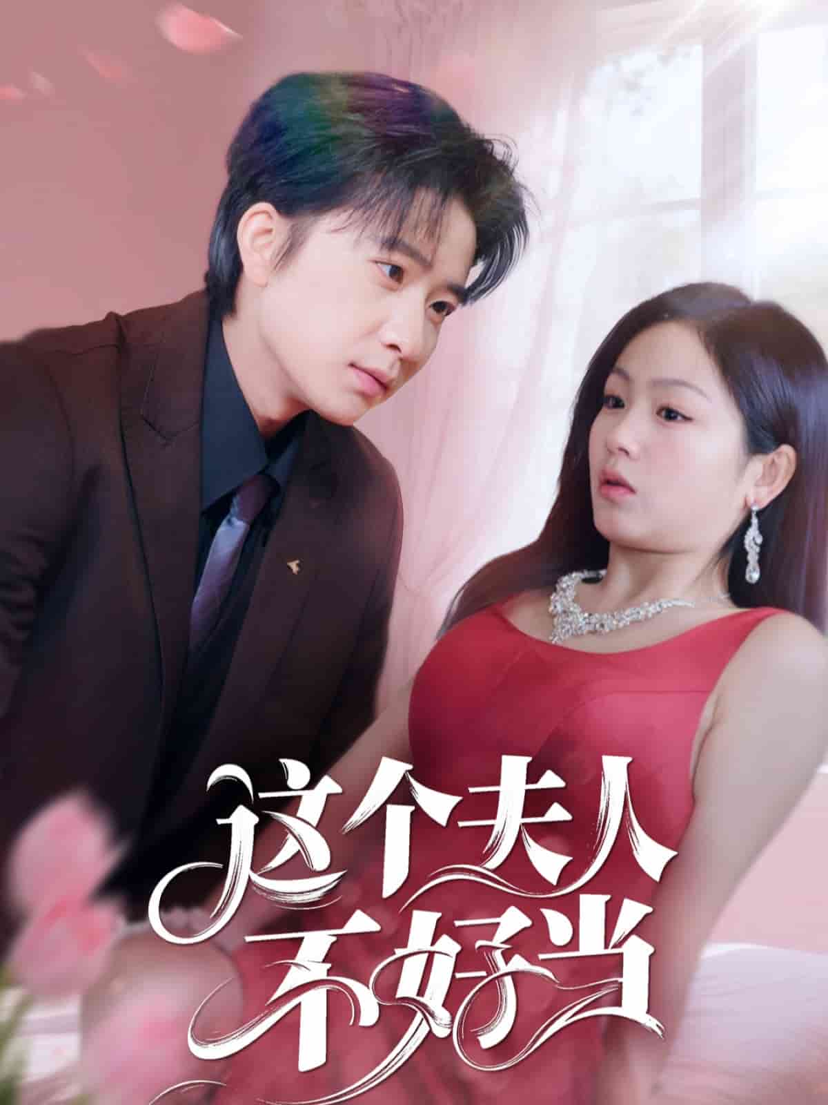 這個(gè)夫人不好當(dāng)(全集)