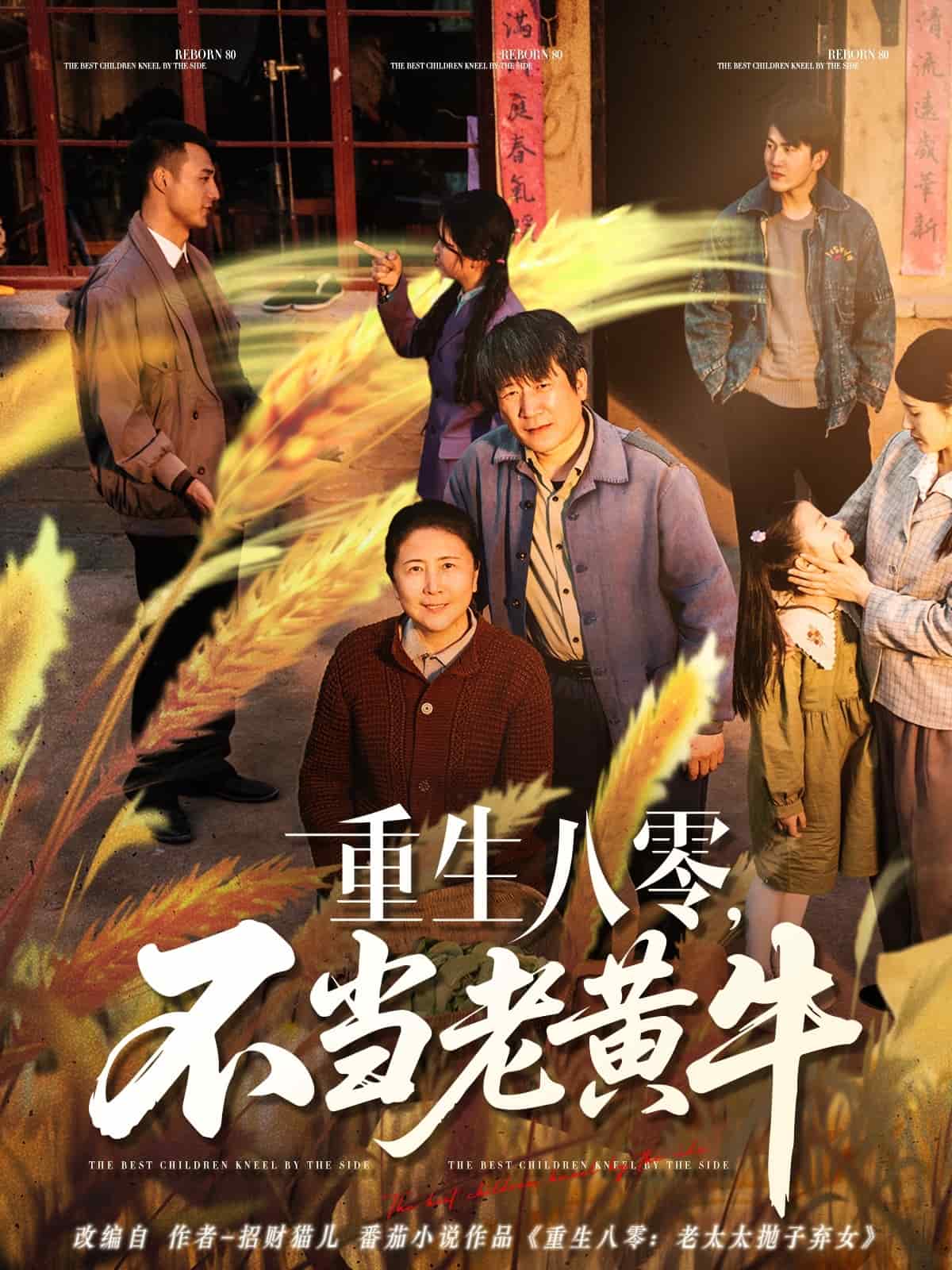 重生八零，不當老黃牛(全集)