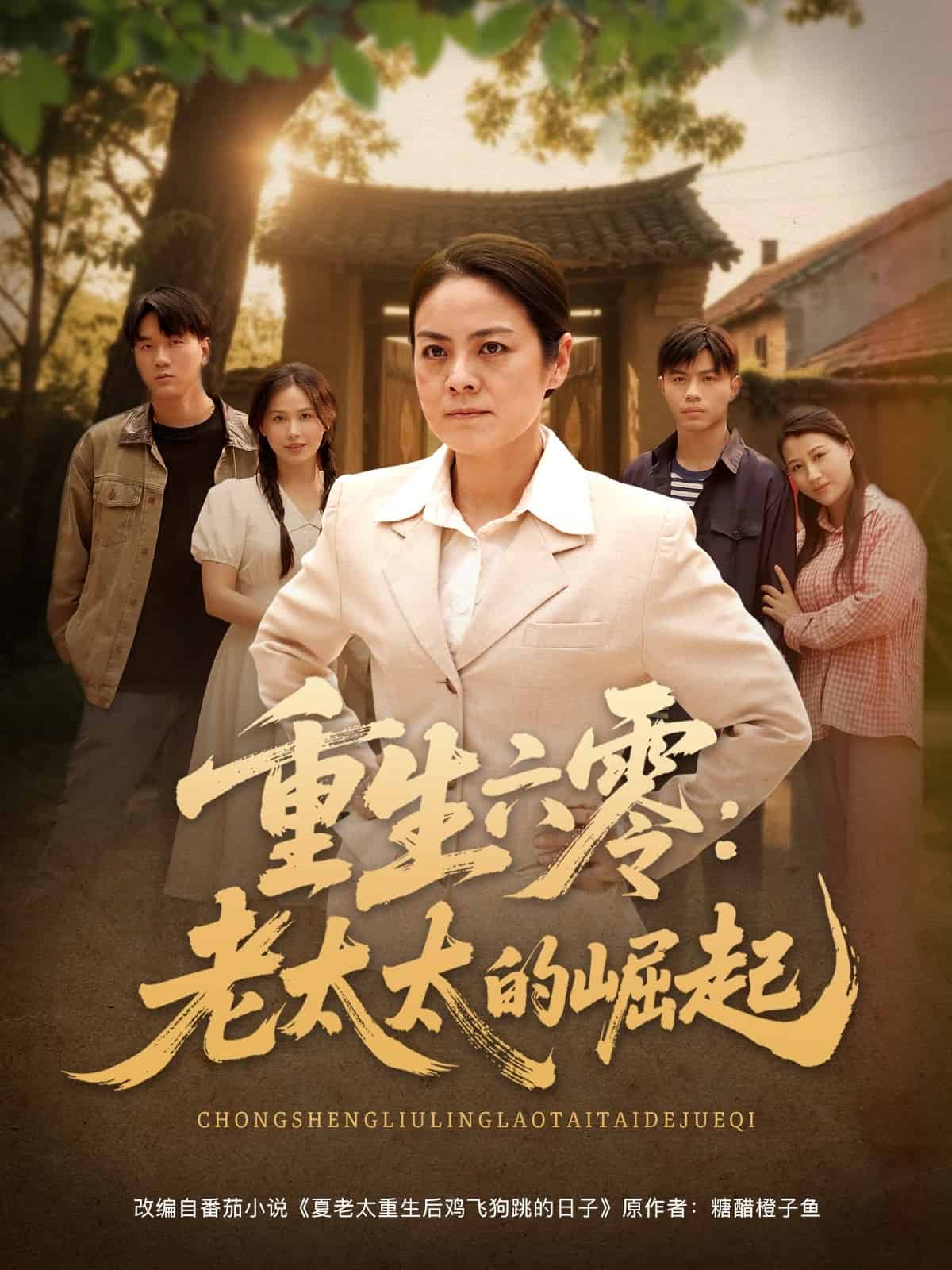 重生六零：老太太的崛起第73集