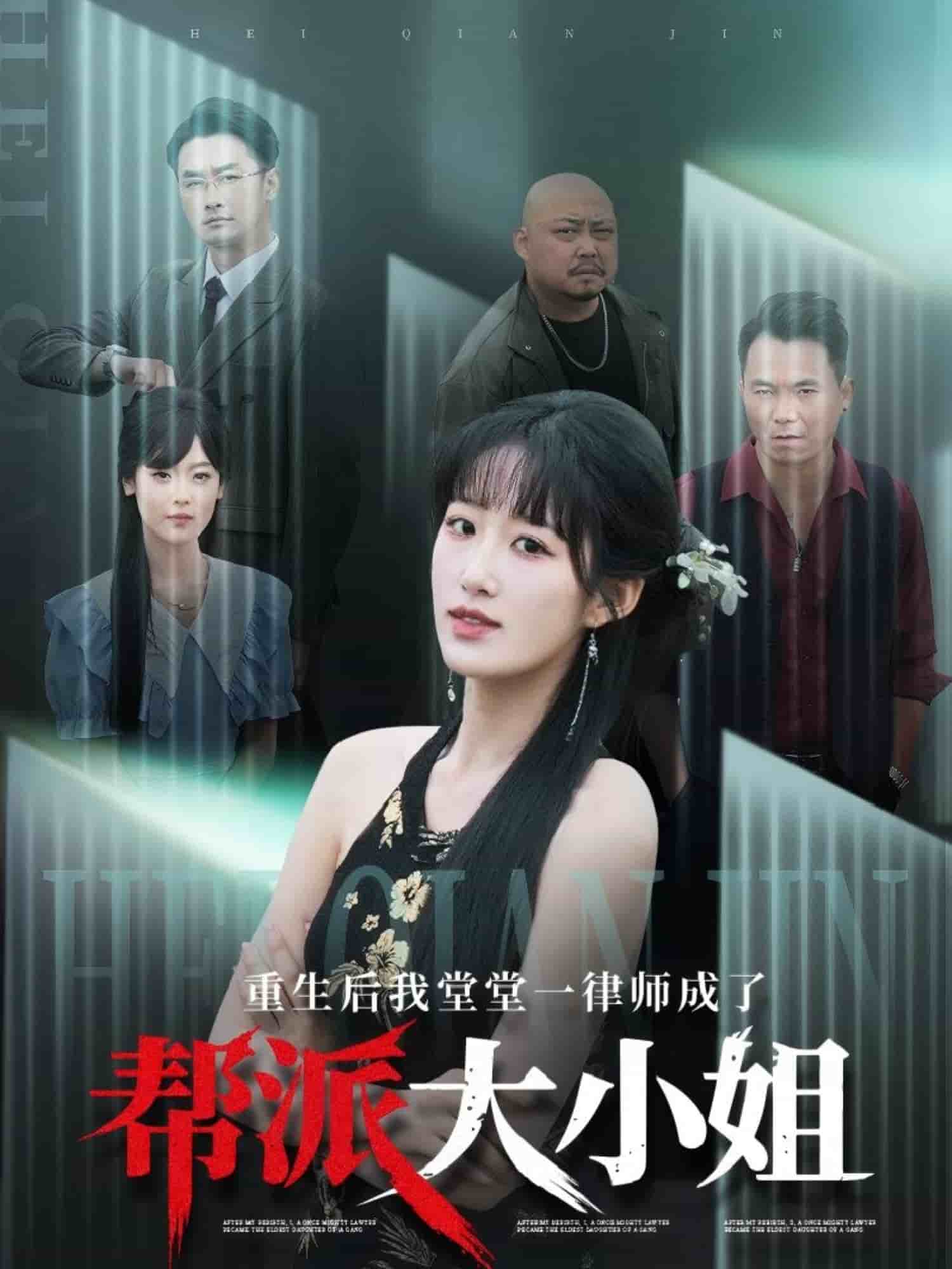 重生后我堂堂一律師成了幫派大小姐(全集)