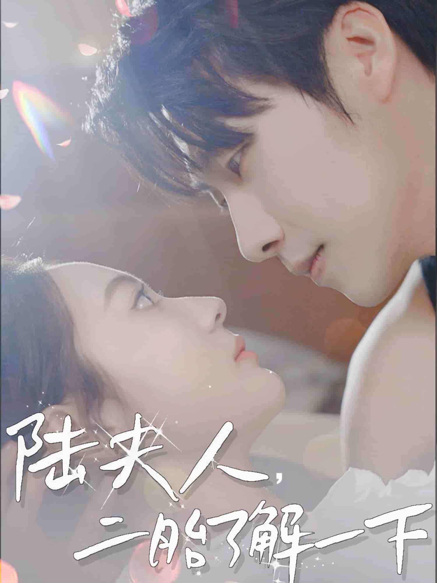 陸夫人，二胎了解一下(全集)