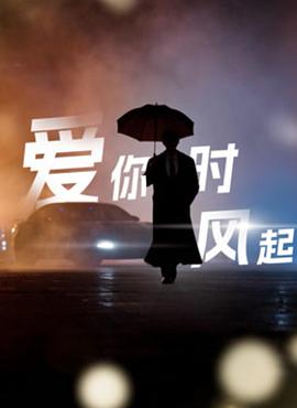 愛(ài)你時(shí)風(fēng)起(全集)