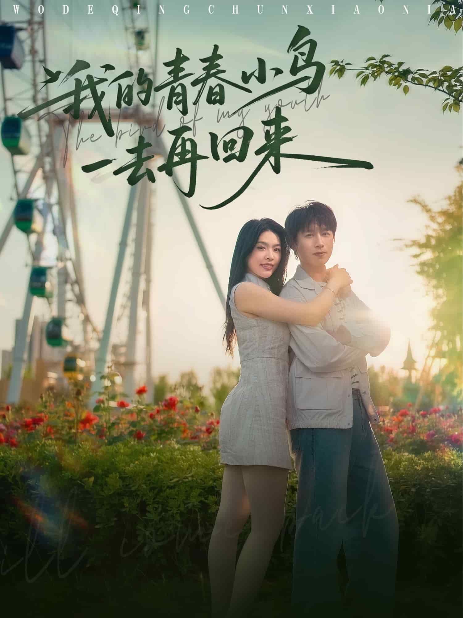 我的青春小鳥一去再回來(全集)