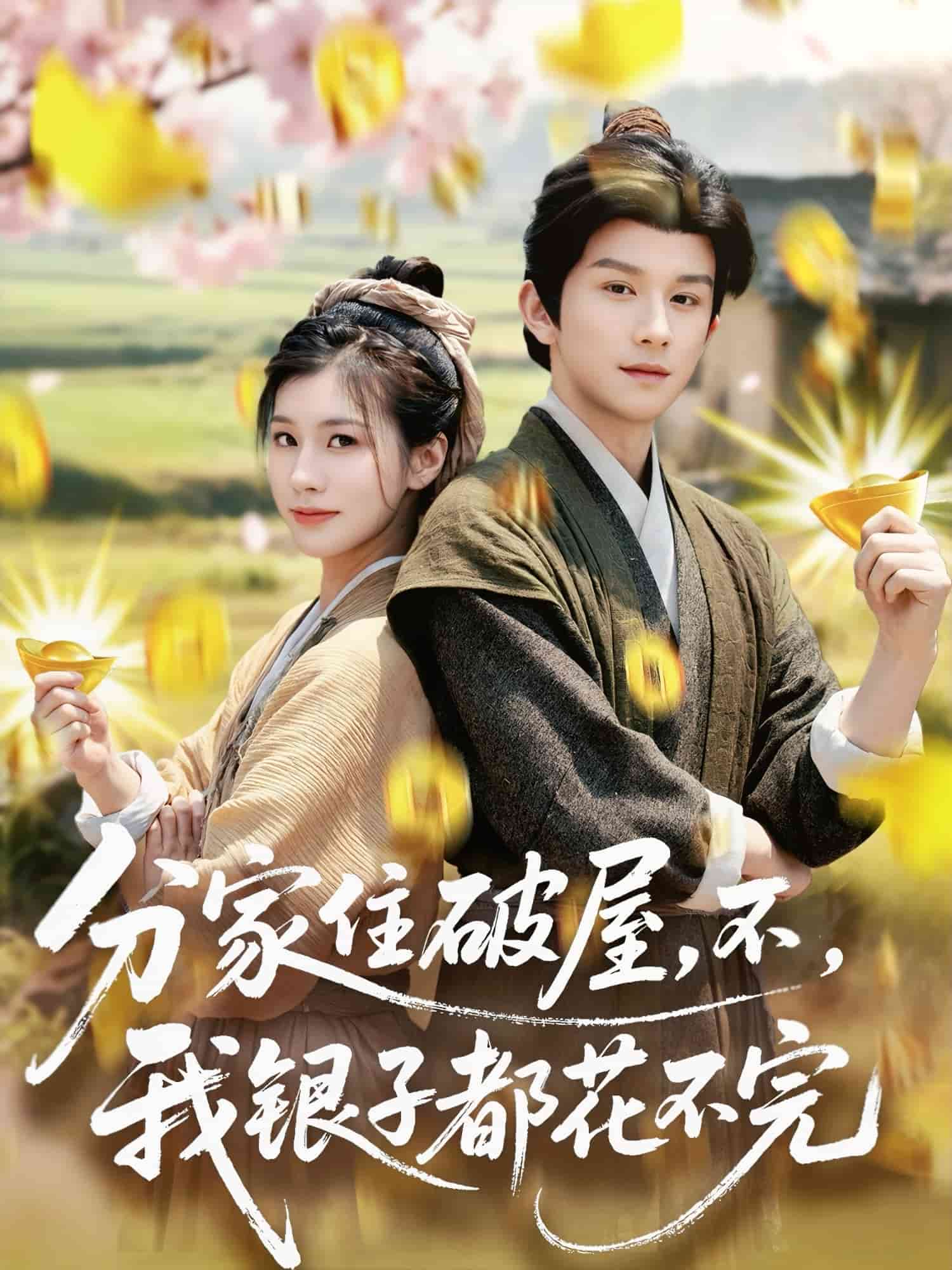 分家住破屋，不，我銀子都花不完(全集)