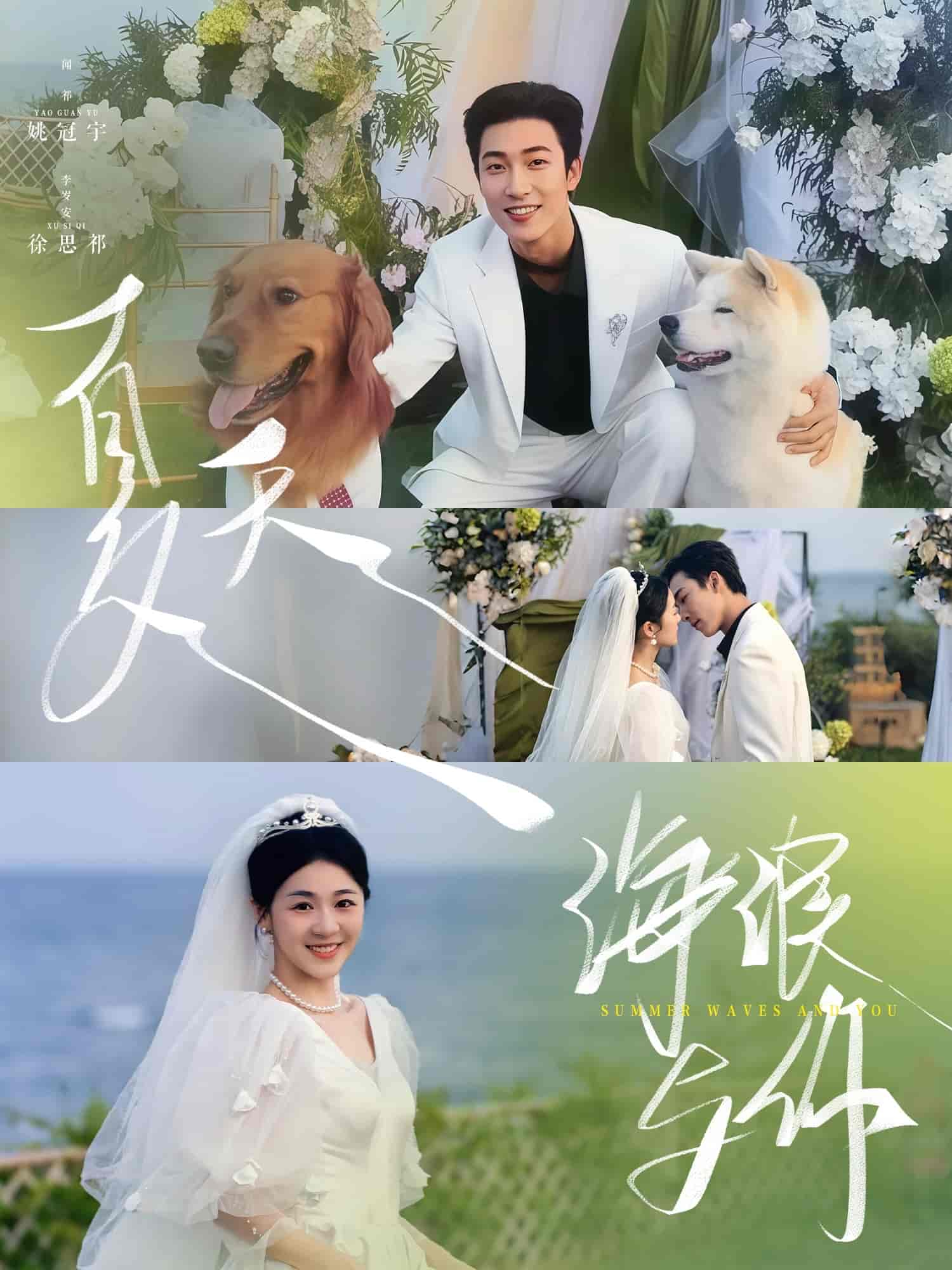 夏天，海浪與你(全集)