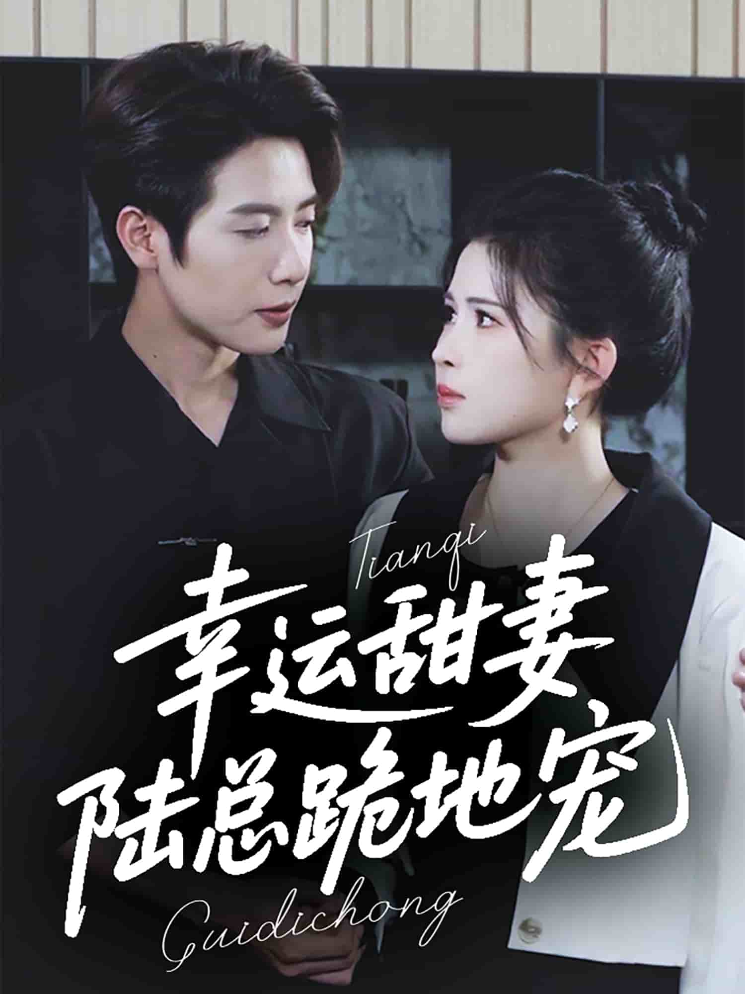 幸運甜妻，陸總跪地寵(全集)