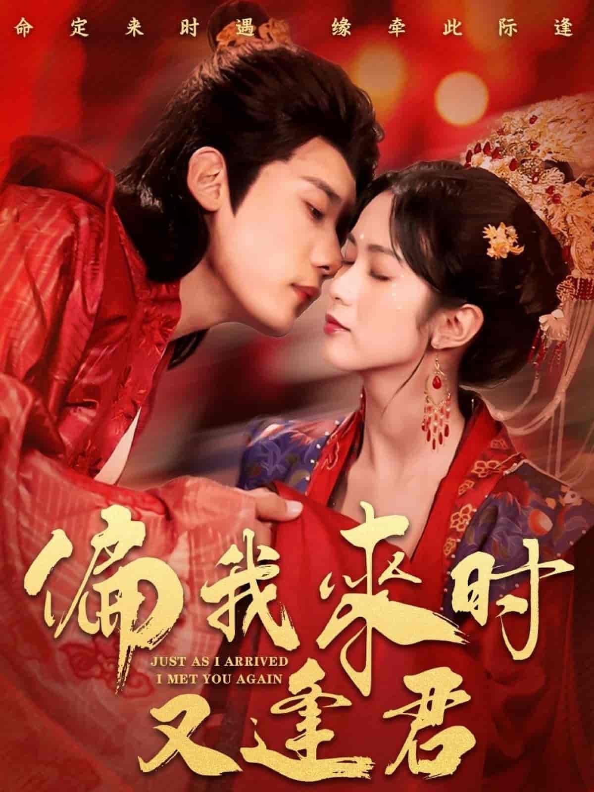 偏我來(lái)時(shí)又逢君(全集)