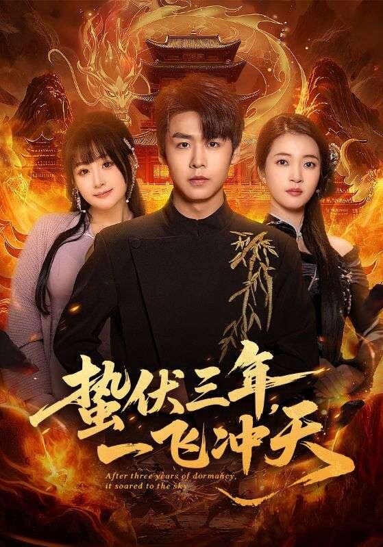 蟄伏三年，一飛沖天(全集)