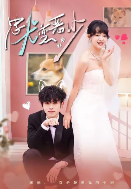 驚！我家來福變惡少了(全集)