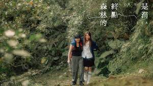 森林的終點是海(全集)