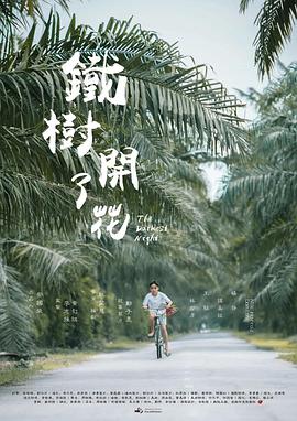 鐵樹(shù)開(kāi)了花