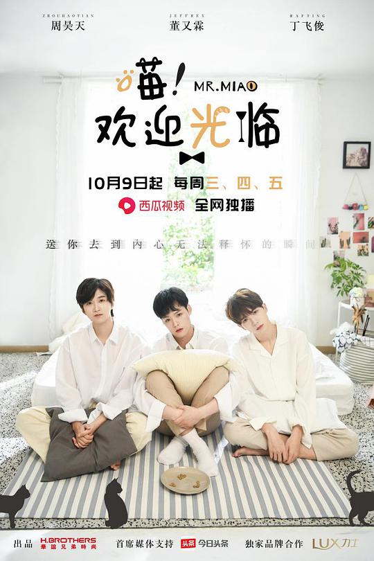 喵！歡迎光臨(全集)