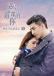 遇見(jiàn)璀璨的你 獨(dú)家季 憶追愛(ài)記(全集)