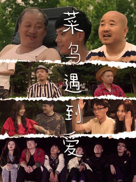 菜鳥(niǎo)遇到愛(ài)(全集)