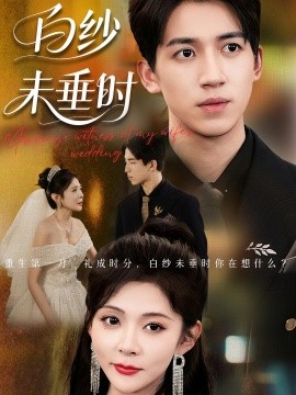 老婆婚禮我當(dāng)證婚人 白紗未垂時(全集)