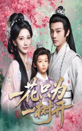 一花只為一樹(shù)開(kāi)(全集)