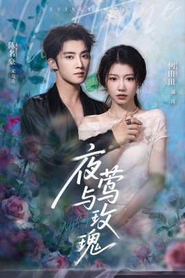 夜鶯與玫瑰短劇(全集)