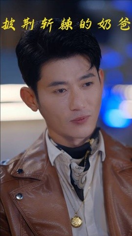 披荊斬棘的奶爸(全集)