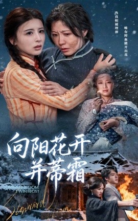 向陽花開并蒂霜(全集)