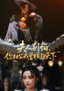 夫人別怕，你相公我曾橫掃天下(全集)