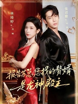 報告蘇總，您找的贊婿是龍神殿主(全集)