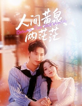 人間黃泉兩茫茫第40集