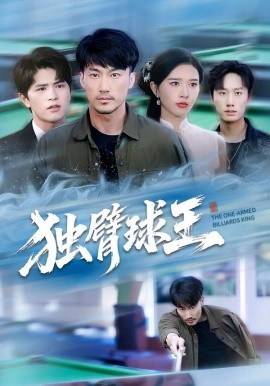 獨臂球王 不服輸?shù)那蛲?全集)