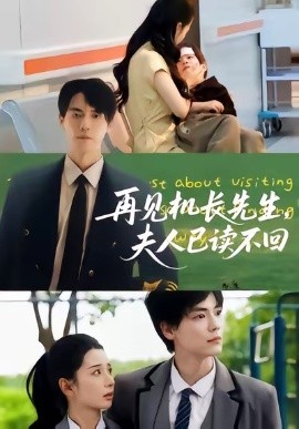 再見機(jī)長(zhǎng)先生夫人已讀不回(全集)