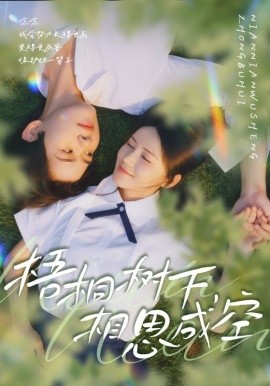 梧桐樹下，相思成空(全集)