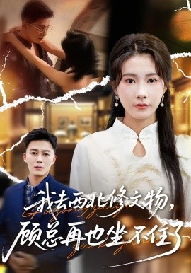 我去西北修文物，顧總再也坐不住了(全集)