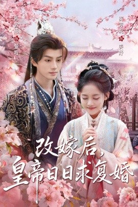改嫁后，皇帝日日求復(fù)婚(全集)