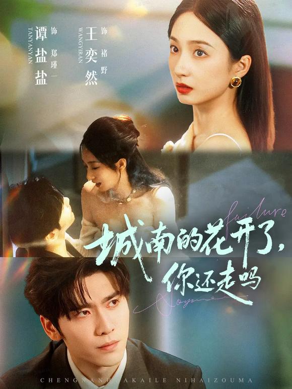 城南的花開了，你還走嗎(全集)
