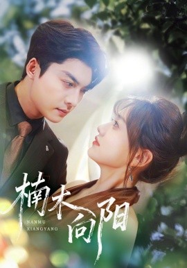 楠木向陽(yáng)(全集)