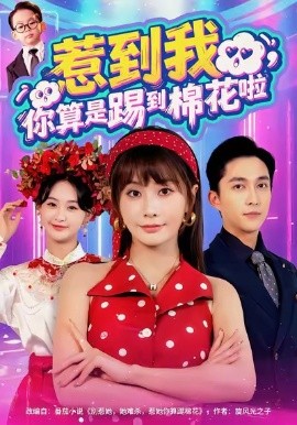 惹到我，你算是踢到棉花啦(全集)