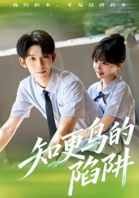 知更鳥(niǎo)的陷阱(全集)