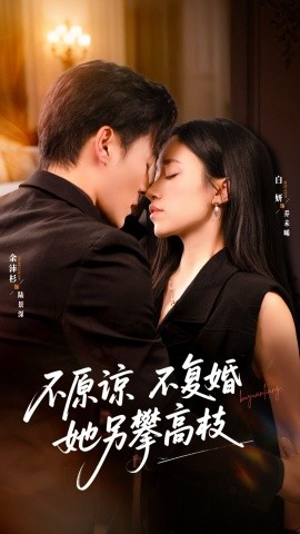 不原諒不復(fù)婚她另攀高枝(全集)