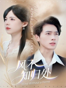 風(fēng)不知?dú)w處(全集)