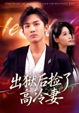 出獄后撿了高冷妻(全集)
