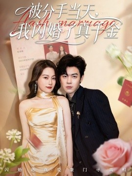 被分手當(dāng)天我閃婚了真千金 剛分手被美女姐姐拉去領(lǐng)證(全集)