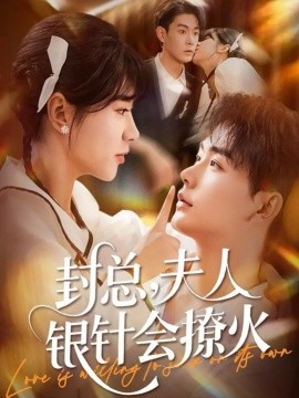 封總，夫人銀針會撩火(全集)