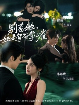 別惹她，她是賀爺掌心雀(全集)