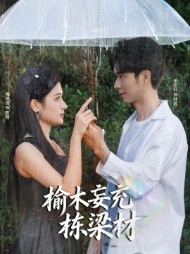 榆木妄充棟梁材(全集)